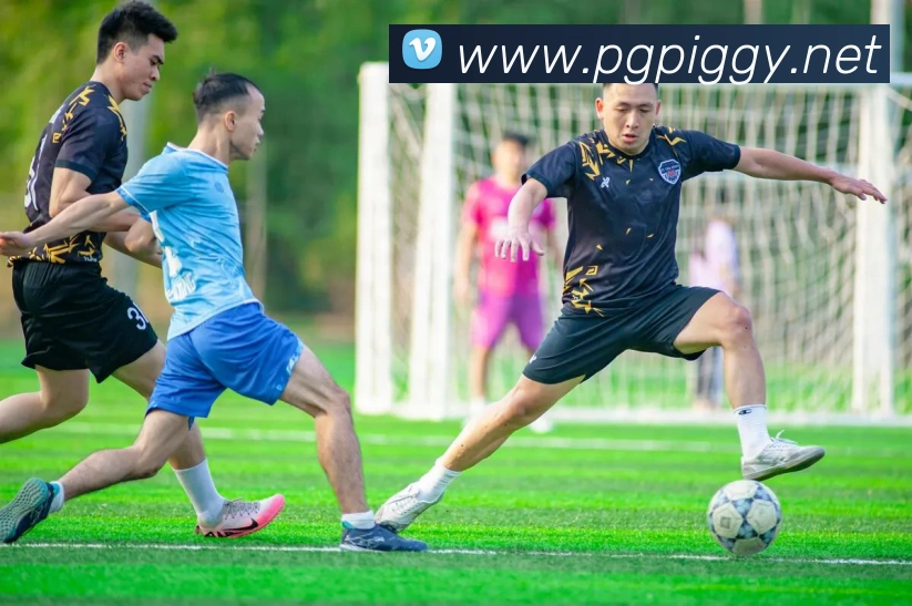 pgAPP 高清赛事图